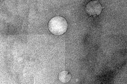 Low-salinity brine, injected into crude oil, forms nanoscale droplets that help separate oil from rock in reservoirs.