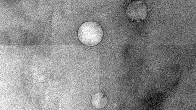 Low-salinity brine, injected into crude oil, forms nanoscale droplets that help separate oil from rock in reservoirs.