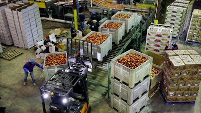 Workers load containers of nectarines at Eastern ProPak Farmers Cooperative in Glassboro, N.J., Aug. 27, 2013.