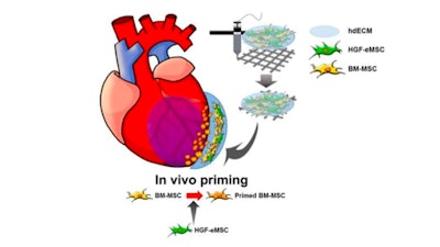 Schematic diagram of the underlying mechanism of in vivo priming of BM-MSCs with HGF-eMSC.