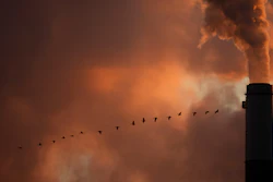 A flock of geese fly past a smokestack at a coal power plant near Emmitt, Kan., Jan. 10, 2009.