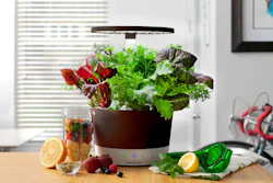 The Aerogarden Harvest 360 indoor growing system.