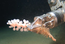 An ROV fitted with an arm for collecting marine samples.