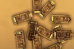 A collection of OWICs barely visible to the naked eye.
