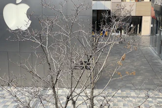 Apple store in an empty mall district in Beijing, Feb. 26, 2020.