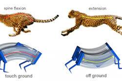 Inspired by the biomechanics of cheetahs, researchers developed a new type of soft robot that is capable of moving more quickly on solid surfaces or in water.