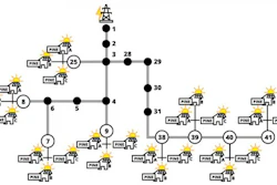 Diagram of the mixed neighborhood used in researchers' computer simulation.
