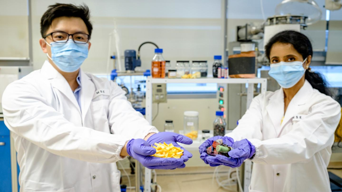 Assistant Professor Dalton Tay (left) and Professor Madhavi Srinivasan.