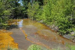 Acid mine drainage pollution in a stream in Cambria Co., Pa.