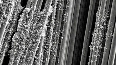 Electron micrograph of cellular nanocrystals on carbon fibers.