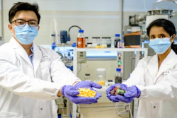 Assistant Professor Dalton Tay (left) and Professor Madhavi Srinivasan.
