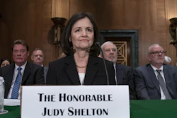 Judy Shelton appears before the Senate Banking Committee on Capitol Hill, Feb. 13, 2020.