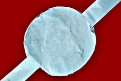 A prototype of the green supercapacitor made by Dr. Hong Liang's team.