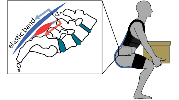 Elastic band (spring) in exosuit stretches during leaning and lifting, offloading low back extensor muscles.