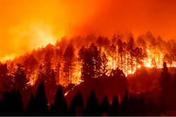 Glass Fire burns a hillside above Silverado Trail in St. Helena, Calif.