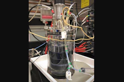 A two-liter bioreactor containing an E. coli culture that has undergone metabolic rewiring to produce indigoidine.