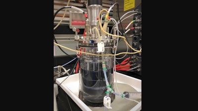 A two-liter bioreactor containing an E. coli culture that has undergone metabolic rewiring to produce indigoidine.