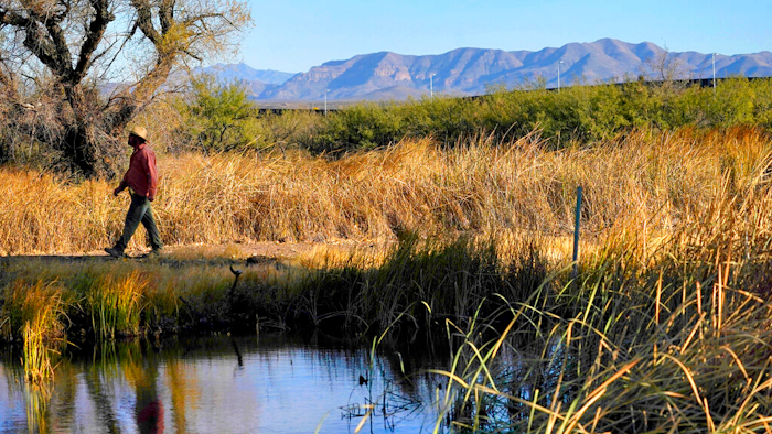 Myles Traphagen, Borderlands Program Coordinator for Wildlands Network, walks through a marsh area as the top of a newly erected border wall cuts through the San Bernardino National Wildlife Refuge, Dec. 8, 2020, Douglas, Ariz.