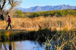 Myles Traphagen, Borderlands Program Coordinator for Wildlands Network, walks through a marsh area as the top of a newly erected border wall cuts through the San Bernardino National Wildlife Refuge, Dec. 8, 2020, Douglas, Ariz.