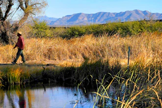 Myles Traphagen, Borderlands Program Coordinator for Wildlands Network, walks through a marsh area as the top of a newly erected border wall cuts through the San Bernardino National Wildlife Refuge, Dec. 8, 2020, Douglas, Ariz.