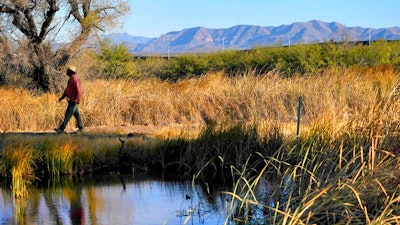 Myles Traphagen, Borderlands Program Coordinator for Wildlands Network, walks through a marsh area as the top of a newly erected border wall cuts through the San Bernardino National Wildlife Refuge, Dec. 8, 2020, Douglas, Ariz.