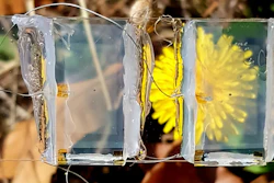 The solar cell created by the team is transparent, allowing its use in a wide range of applications.