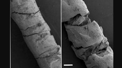 Scanning electron microscopy of carbon ink-coated threads.