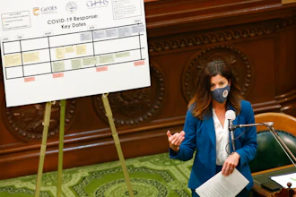 California Assemblywoman Cottie Petrie-Norris during an oversight hearing in Sacramento, May 11, 2020.
