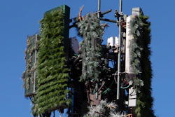 A cell tower disguised as a pine tree in the San Fernando Valley of Los Angeles, Feb. 5, 2021.
