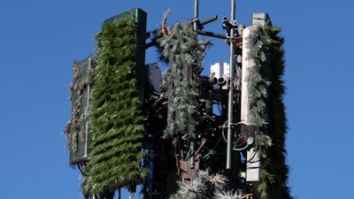 A cell tower disguised as a pine tree in the San Fernando Valley of Los Angeles, Feb. 5, 2021.