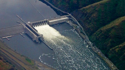 In this May 15, 2019, file photo, the Lower Granite Dam on the Snake River is seen from the air near Colfax, Wash. A Republican congressman has proposed removing four hydroelectric dams in the Northwest, including the Lower Granite Dam, as part of a sweeping plan to save salmon populations and provide aid to farmers and others.