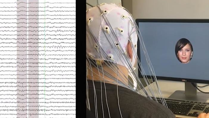 A computer created facial images that appealed to individual preferences.