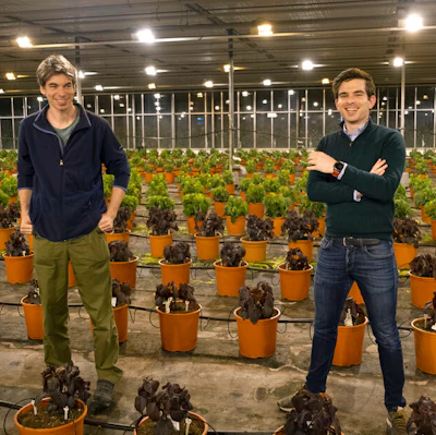 PATS Indoor Drone Solutions CTO Kevin van Hecke, left, and CEO Bram Tijmons, right, in a greenhouse in Monster, Netherlands Feb. 25, 2021.