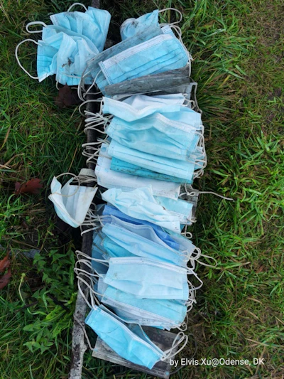 Disposed facemasks collected in Odense City, Denmark.