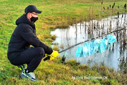 Collected face masks in city of Odense, Denmark.