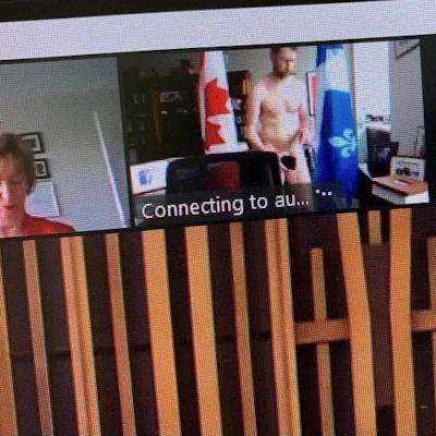 Screenshot showing MP William Amos during a video conference call, April 14, 2021.