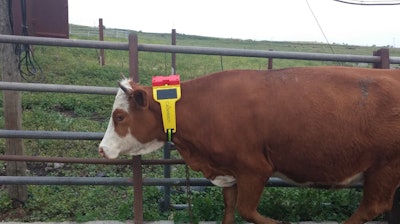 Figure 7: Cattlewatch collar tag transmitters combine a small PV panel with an industrial grade rechargeable Li-ion battery, creating a lightweight solution that transits data about health status and location remotely to ranchers.