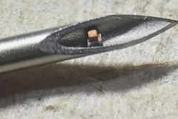 Chips shown in the tip of a hypodermic needle.
