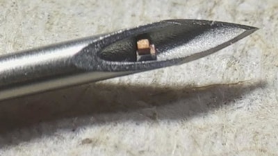 Chips shown in the tip of a hypodermic needle.