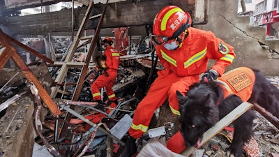 Rescue workers using sniffer dogs to search for survivors in the aftermath of a gas explosion in Shiyan city, China, June 13, 2021.