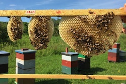 Low Res Field (1) jpg