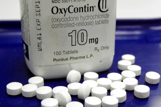 OxyContin pills at a pharmacy in Montpelier, Vt., Feb. 19, 2013.