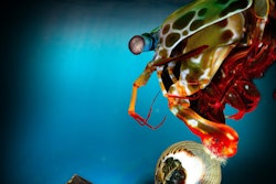 Low Res Cover Illustration Final Jpeg (2) jpg