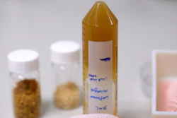 This pollen-derived ink developed by NTU Singapore is able to hold its shape when deposited onto a surface, making it a viable alternative to current inks used for 3D printing in the biomedical field.