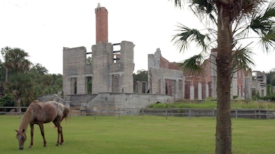 A wild horse grazes next to the ruins of the Dungeness mansion, Cumberland Island, Ga., Sept. 20, 2008.