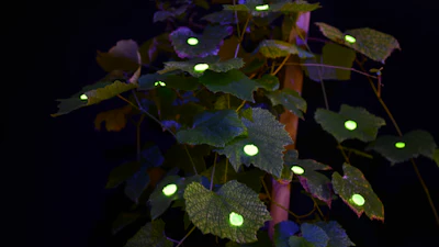 The plant-inspired hooks were made with a high-resolution 3D printer, employing a range of highly resistant materials and with characteristics that can be adapted to the relative application, for example to photosensitive or biodegradable materials made from isomalt, a sugar-like substance.