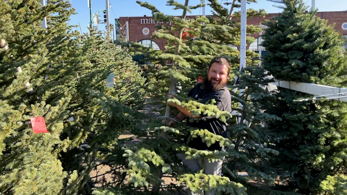 Extreme weather and supply chain disruptions have reduced supplies of both real and artificial trees this season. American shoppers should expect to have fewer choices and pay up to 30% more for both types this Christmas, industry officials say.