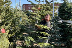Extreme weather and supply chain disruptions have reduced supplies of both real and artificial trees this season. American shoppers should expect to have fewer choices and pay up to 30% more for both types this Christmas, industry officials say.