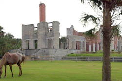 In this Sept. 20, 2008, file photo, a wild horse grazes next to the ruins of the Dungeness mansion in the south end of Cumberland Island in Camden County, Georgia National Seashore. On Monday, Dec. 20, 2021, the Federal Aviation Administration granted a license for a launchpad that would fly commercial rockets from Cumberland Island, located in coastal Georgia.
