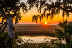 Cumberland Island, Ga.